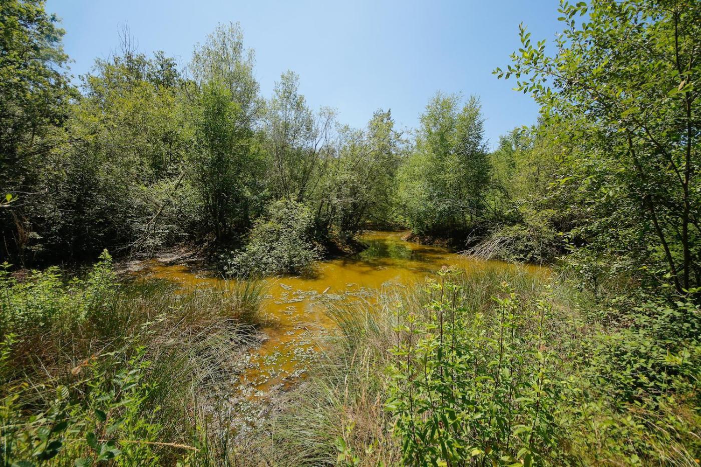 Domaine La Faix, Gite La Chouette Saint-Plaisir Εξωτερικό φωτογραφία