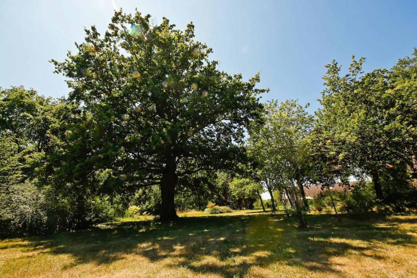 Domaine La Faix, Gite La Chouette Saint-Plaisir Εξωτερικό φωτογραφία