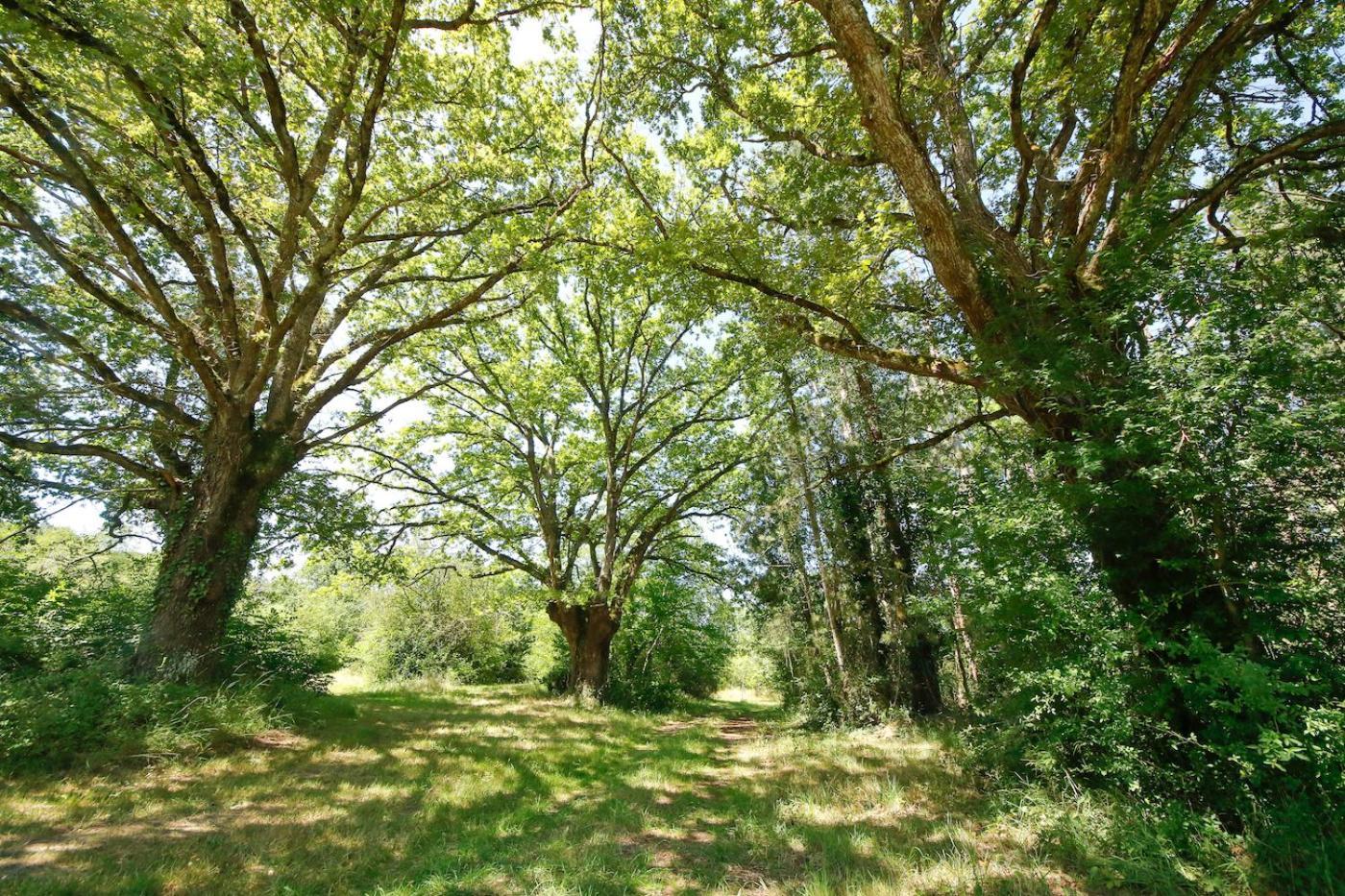 Domaine La Faix, Gite La Chouette Saint-Plaisir Εξωτερικό φωτογραφία