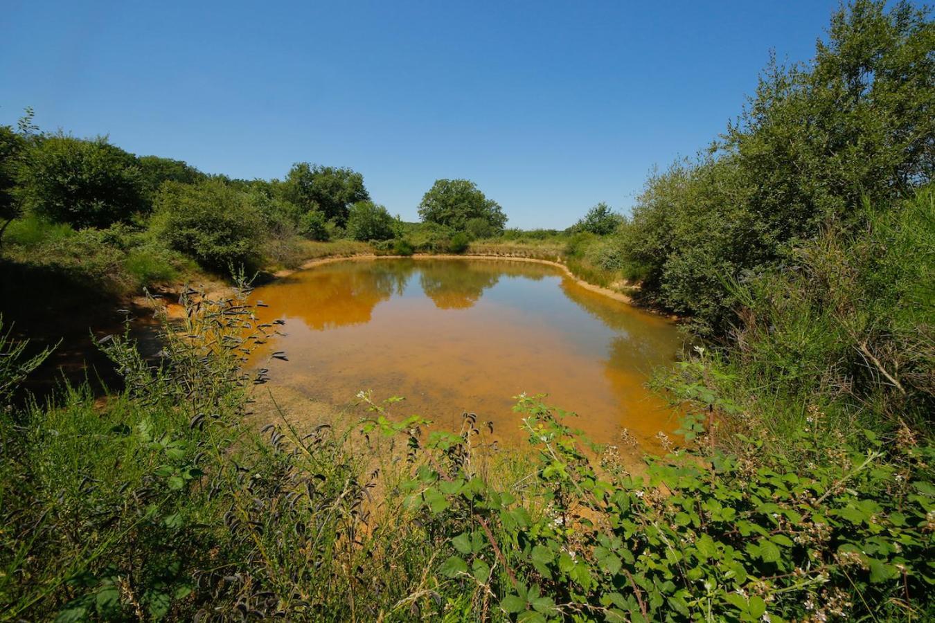 Domaine La Faix, Gite La Chouette Saint-Plaisir Εξωτερικό φωτογραφία
